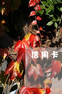 信用卡 逾期1次 房贷